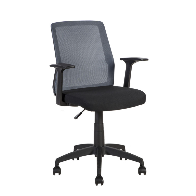 Biuro kėdė ALPHA, pilka/juoda