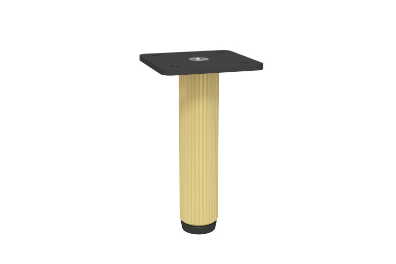Furniture leg H-100 mm, round, black-gold